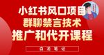 小红书风口项目日入300+，小红书群聊禁言技术代开项目，适合新手操作-网创指引人