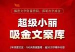 超级小丽·吸金文案库，解密文字财富密码，挥笔点字成金，超30万字精华内容-网创指引人