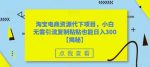 淘宝电商资源代下项目，小白无需引流复制粘贴也能日入300＋【揭秘】-网创指引人