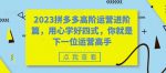 2023拼多多高阶运营进阶篇，用心学好四式，你就是下一位运营高手-网创指引人