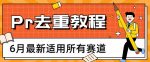 2023年6月最新Pr深度去重适用所有赛道，一套适合所有赛道的Pr去重方法-网创指引人