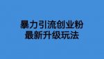 价值1980一千个野路子暴力引流最新升级玩法【揭秘】-网创指引人