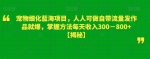 宠物细化蓝海项目，人人可做自带流量发作品就爆，掌握方法每天收入300－800+【揭秘】-网创指引人