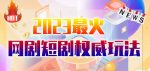 市面高端12800米6月最新短剧玩法（抖音+快手+B站+视频号）日入1000-5000，小白从零就可开始-网创指引人