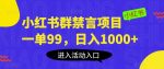 小红书群禁言项目，一单99，日入1000+【揭秘】-网创指引人