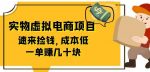 东哲日记：全网首创实物虚拟电商项目，速来捡钱，成本低，一单赚几十块！-网创指引人