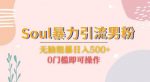 Soul暴力引流男粉玩法，无脑粗暴日入500＋，0门槛即可操作【揭秘】-网创指引人