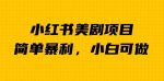 外面卖1980的小红书美剧项目，单日收益1000＋，小众暴利的赛道【揭秘】-网创指引人