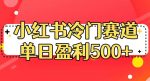 小红书冷门赛道，单日盈利500+【揭秘】-网创指引人