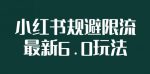 小红书规避限流6.0全新玩法，小红书新规之下如何安全引流-网创指引人