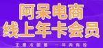 阿呆电商线上年会员，阿呆电商干货分享（更新中）-网创指引人