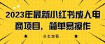 2023年最新小红书成人电商项目，简单易操作【详细教程】【揭秘】-网创指引人