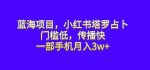 蓝海项目，小红书塔罗占卜，门槛低，传播快，一部手机月入3w+【揭秘】-网创指引人