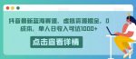 抖音最新蓝海赛道，虚拟资源掘金，0成本，单人日收入可达1000+-网创指引人