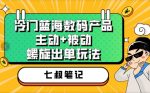 七叔冷门蓝海数码产品，主动+被动螺旋出单玩法，每天百分百出单【揭秘】-网创指引人