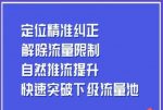 同城账号付费投放运营优化提升，​定位精准纠正，解除流量限制，自然推流提升，极速突破下级流量池-网创指引人