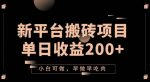 2023新平台搬砖项目，单日收益200+，小白可做，早做早吃肉-网创指引人