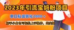 2023年引流宝妈粉项目，单日私域转化2000＋，新手小白也可轻松上手操作，纯实操-网创指引人