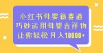 小红书母婴新赛道，巧妙运用母婴吉祥物，让你轻松月入10000+【揭秘】-网创指引人