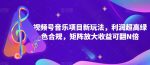 视频号音乐项目新玩法，利润超高绿色合规，矩阵放大收益可翻N倍-网创指引人