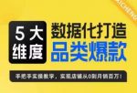 玺承·5大维度，数据化打造电商品类爆款特训营，一套高效运营爆款方法论-网创指引人