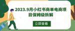 2023.9月小红书商单电商项目保姆级拆解-网创指引人