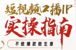 周百见·短视频口播IP实操指南视频课，不做爆款做生意-网创指引人