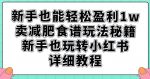 新手也能轻松盈利1w，卖减肥食谱玩法秘籍，新手也玩转小红书详细教程【揭秘】-网创指引人