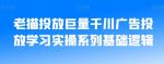 老猫投放巨量千川广告投放学习实操系列基础逻辑-网创指引人