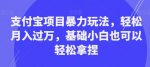 支付宝项目暴力玩法，轻松月入过万，基础小白也可以轻松拿捏【揭秘】-网创指引人