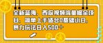 全新蓝海，西瓜视频流量掘金项目，简单上手适合0基础小白，暴力玩法日入500＋【揭秘】-网创指引人