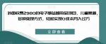 外面收费2980的电子版益智用品项目，儿童赛道，多种变现方式，轻松实现0成本月入过万【揭秘】-网创指引人