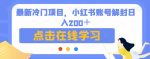 最新冷门项目，小红书账号解封日入200＋【揭秘】-网创指引人