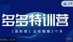 纪主任·多多特训营高阶班【9月13日更新】，拼多多最新玩法技巧落地实操-网创指引人