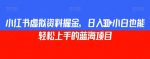 小红书虚拟资料掘金，日入300+小白也能轻松上手的蓝海项目【揭秘】-网创指引人