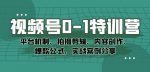 视频号0-1特训营：平台机制、拍摄剪辑、内容创作、爆款公式，实战案例分享-网创指引人