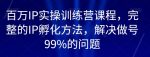 百万IP实操训练营课程，完整的IP孵化方法，解决做号99%的问题-网创指引人