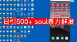 【项目船首发】日引500soul暴力群发项目拆解【揭秘】-网创指引人