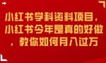 小红书学科资料项目，小红书今年是真的好做，教你如何月入过万【揭秘】-网创指引人