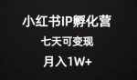 价值2000+的小红书IP孵化营项目，超级大蓝海，七天即可开始变现，稳定月入1W+-网创指引人