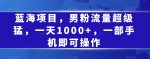 蓝海项目，男粉流量超级猛，一天1000+，一部手机即可操作【揭秘】-网创指引人