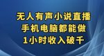 抖音无人有声小说直播，手机电脑都能做，1小时收入破千【揭秘】-网创指引人