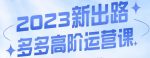 大炮·多多高阶运营课，3大玩法助力打造爆款，实操玩法直接亮出干货-网创指引人