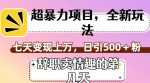 超暴利项目，全新玩法（辞职卖情趣的第几天），七天变现上万，日引500+粉【揭秘】-网创指引人