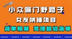 小众偏门野路子，女友哄睡项目，简单粗暴，轻松日入500＋【揭秘】-网创指引人