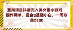 蓝海项目抖音无人美女播小游戏，操作简单，适合0基础小白，一周收益2500【揭秘】-网创指引人