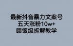 最新抖音暴力文案号，五天涨粉10w+，喂饭级拆解教学-网创指引人