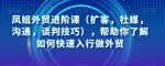 凤姐外贸进阶课（扩客，社媒，沟通，谈判技巧），帮助你了解如何快速入行做外贸-网创指引人