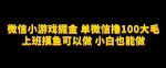 微信小游戏掘金，单微信撸100元大毛，上班摸鱼可以做，小白也能做【揭秘】-网创指引人