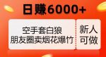 空手套白狼，朋友圈卖烟花爆竹，日赚6000+【揭秘】-网创指引人